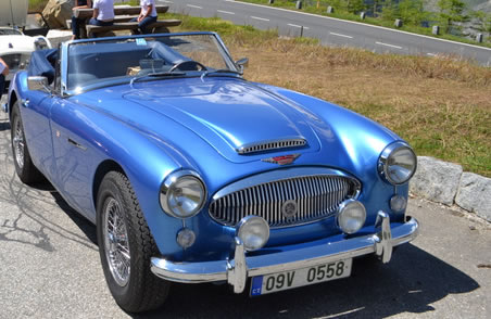 15 Austin Healey Svec